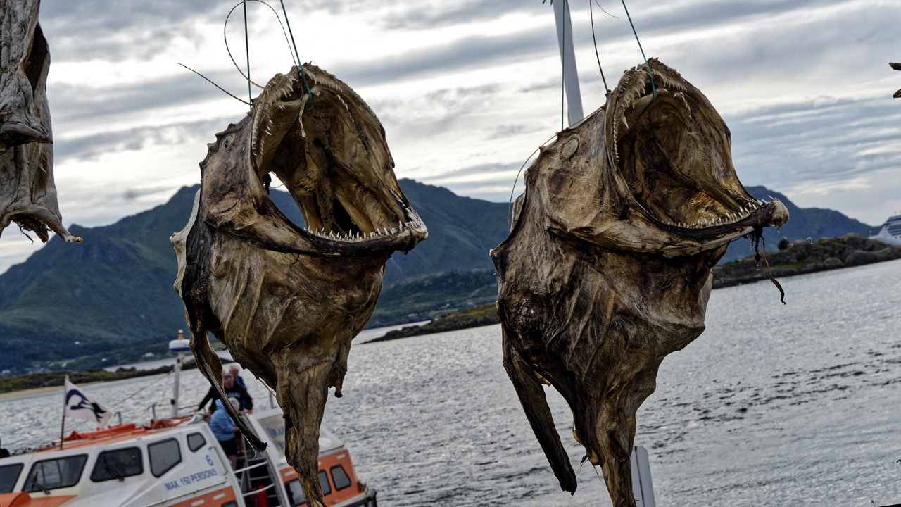 20230801 105027•Gravdal-Leknes•Lofoten Islands•Norway